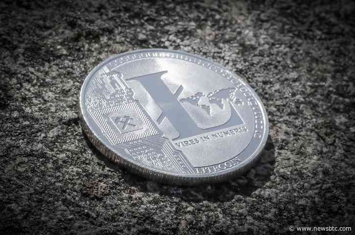 Litecoin (LTC) Price Falls After Bulls Fail To Maintain Momentum