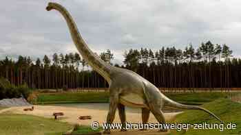 Warum wurden Dinosaurier so riesig? Neue Studie erstaunt