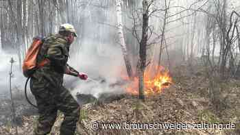 Mindestens ein Toter bei Waldbränden in Russland