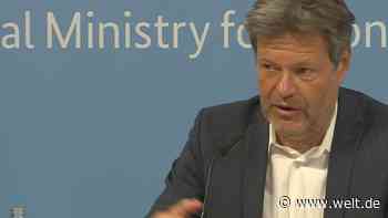 Wirtschaftsminister Robert Habeck zum OECD-Bericht