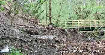 Northumberland National Park forced to close popular walking route to waterfall due to landslides and 'severe rain damage'
