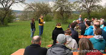 Landkreis Bamberg: Streuobst-Projekt feiert Auftakt - "alte und besonders wertvolle Bestände"