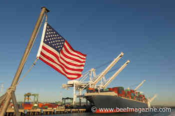 Pork exports largest in nearly two years as beef shows rebound
