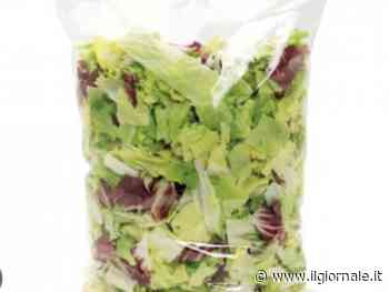 L'Ue vuole vietare le insalate in busta: ecco perché rischiano di scomparire