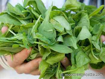 Opinion: What you need to know about folate and pregnancy