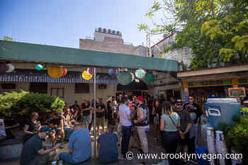 Union Pool Summer Thunder 2023 lineup: Sister Nancy, Joe Bataan, Marc Ribot's Ceramic Dog, more