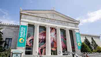 How Chicago NASCAR 2023 Street Closures Will Impact Access to Chicago Museums