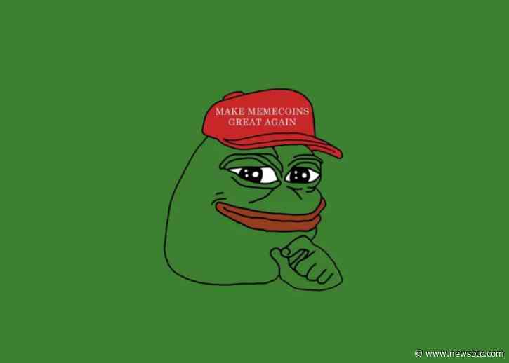 Discovering The Next PEPE And SHIB: Whales To Keep Track Of