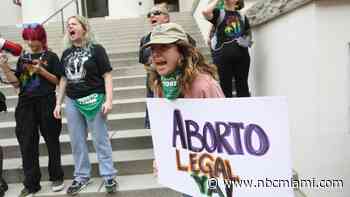 Groups Launch Ballot Drive Taking Aim at Florida's Abortion Ban