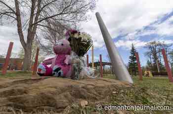 'The system failed:' Suspect in fatal Edmonton stabbing of mom and child known to police