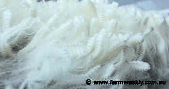 WA wool sales better than last year