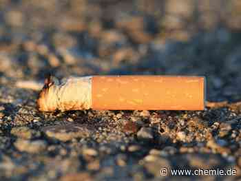 Zigarettenstummel geben tödliche Giftstoffe an die Umwelt ab