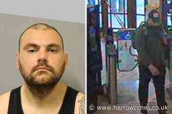 Man guilty of attempted rape in Watling Park, Burnt Oak