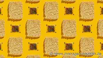 Geldanlage: Fonds setzen auf substanzstarke Unternehmen - das Comeback der Langweiler-Aktien