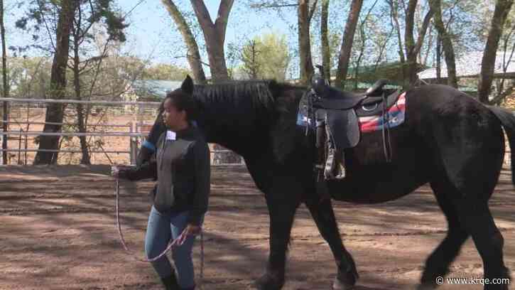 Program helps people with disabilities get farming experience