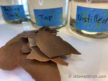 Houseworks: Retrieving a broken water-well pump