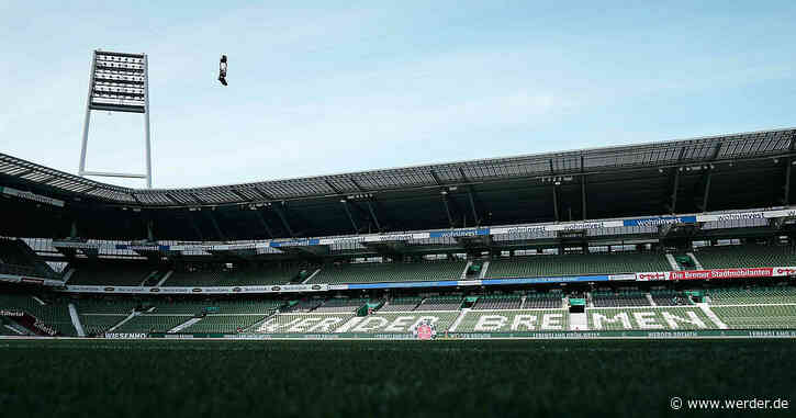 Tarek Brauer: "Diskutieren sehr aktiv über neue Lösung für den Gästebereich"