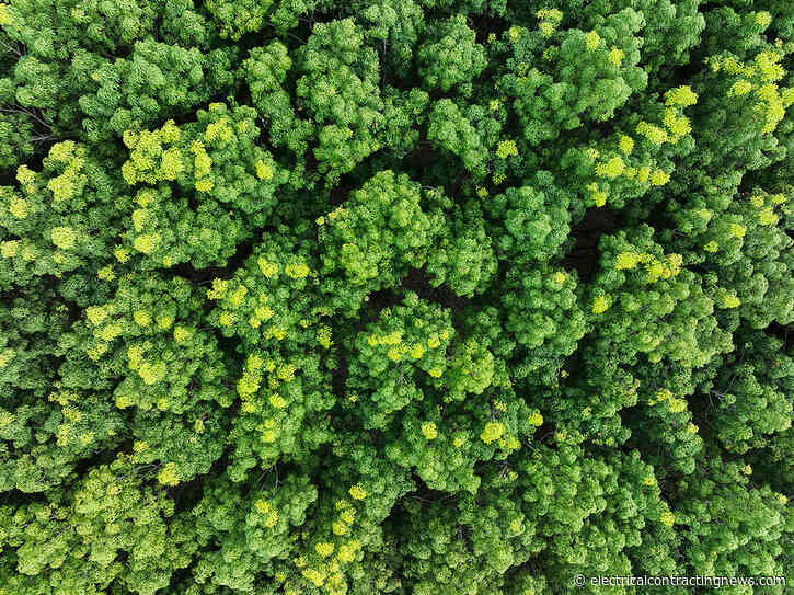 Schneider Electric announces winner of Sustainability Impact Awards