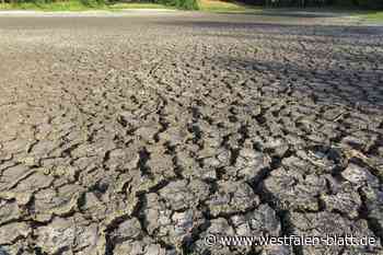 Rahden: Trockenheit gefährdet Schutzgebiet
