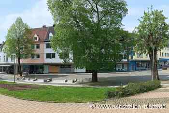 Isek Steinheim: So können Bürger mitentscheiden