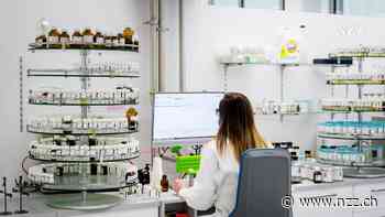 Der neue schweizerisch-niederländische Grosskonzern DSM-Firmenich muss Anleger erst noch von sich überzeugen