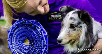 How the Westminster Dog Show is embracing Gen Z’s social-first sports consumption