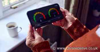 Warning as families face bills to replace broken smart meter displays