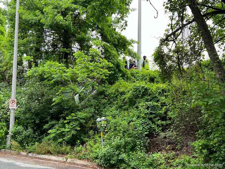 Car runs down embankment near county offices in rainy day crash