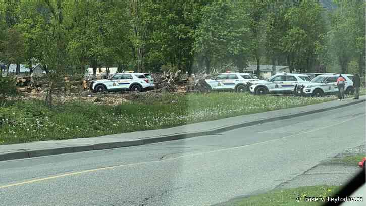 RCMP say man with BB gun near Ashwell and Kipp was detained, later released