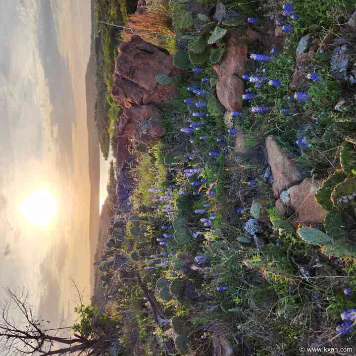 RESULTS: This is the best KXAN viewer photo of April 2023, as voted by you