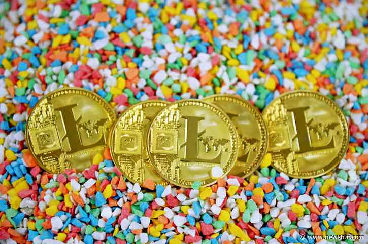 Litecoin (LTC) Falls Under $80, Is It Time To Buy Now?