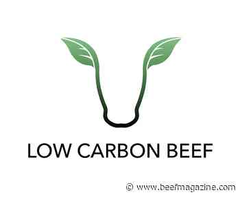 Schuller hired as Low Carbon Technologies’ chief operating officer