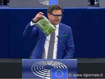 Il leghista Ciocca brandisce l'insalata contro inefficacia dell'Ue 