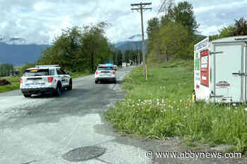 Chilliwack RCMP arrest man with pellet gun at Skwah First Nation