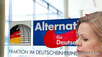 „Heizungs-Theater“ - vor allem aber Migration: Wie die AfD vom Ampel-Zoff profitiert