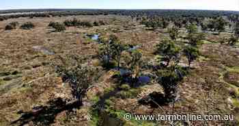 Pristine river flood-out property with grazing opportunities
