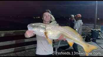 Digging deep holes at the beach ‘is deadly,’ officials explain after teen dies in dune collapse