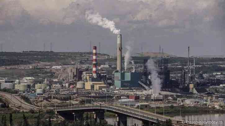 Suncor says person injured by bear north of Fort McMurray