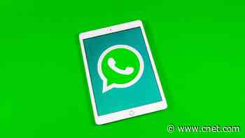 WhatsApp May Soon Work on Your Wear OS Watch     - CNET