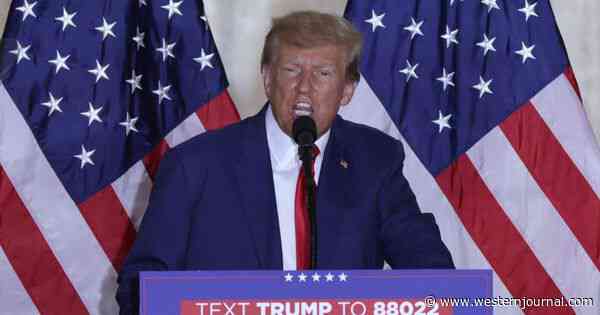 Donald Trump Delivers Fiery Reaction to E. Jean Carroll Verdict, Announces His Next Move
