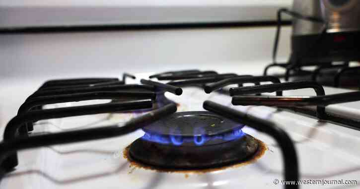 Democratic Officials Make Big Move for Nationwide Gas Stove Crackdown