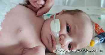 Angels in the sky come to Luna's rescue