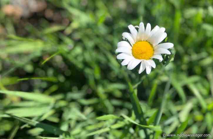 May 9, 2023 – Western and Northern Ontario Weather Outlook