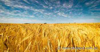Grain growers claim 'not much to celebrate'