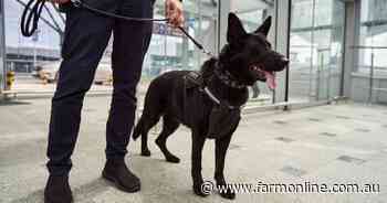 Farmers: New biosecurity levy is a 'bitter pill to swallow'