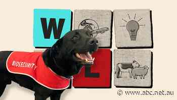 Farmers consider the impacts of a budget focused on the cost of living mean inflation and interest rates