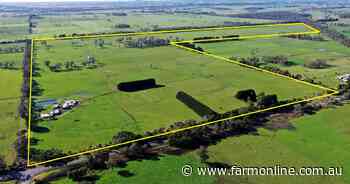 Blue chip grazing farm sells straight after the auction