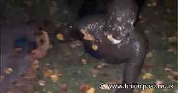 Woman describes fear as she spots man in gimp suit' writhing and crawling' on ground