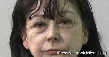 Retired civil servant armed herself with meat cleaver and knife before injuring woman