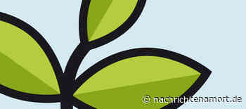 Buntes Programm im Zentrum